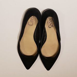 Circus by Sam Edleman Pointed Toe Flats Size 9
